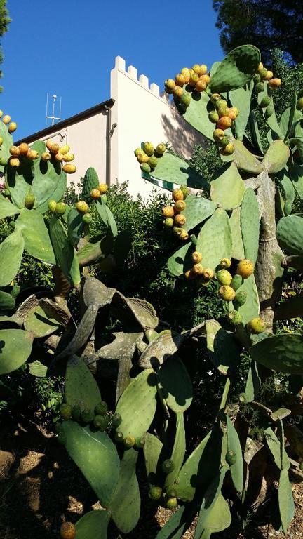 פורטו אזורו Villa San Giuseppe מראה חיצוני תמונה